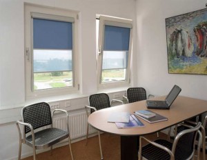 Zaliuzes roletai Klaipeda